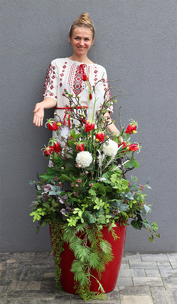 Glorioza Modern Classico, kompozycja z trawami w czerwonej donicy