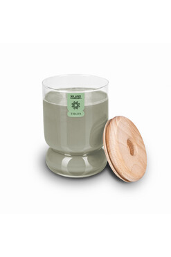 Spruce Forest, sojowa świeca zapachowa w szkle, 380g