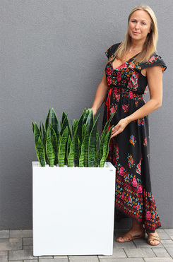 Sansewieria Fiberglass Marco 3, roślina sztuczna w donicy, wys.98cm