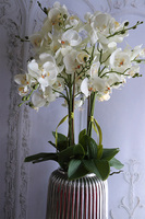 Zakopane Silver, biały storczyk w srebrnej donicy