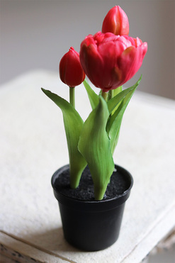 kompozycja z gumowych tulipanów w doniczce, ciemny róż, wys.21cm