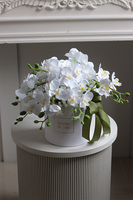 Orchidea White, biały flowerbox ze storczykiem