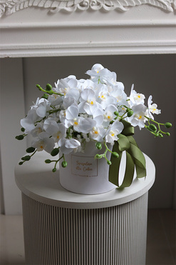 Orchidea White, biały flowerbox ze storczykiem, wys.26cm