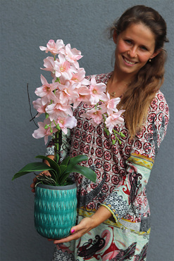 Turkussana, różowy storczyk w turkusowej donicy, wys.60cm 