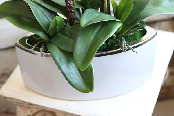 Manfredo White Silicone, gumowy storczyk w białej donicy, wys.71cm