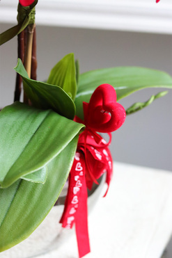 Walentynkowy, czerwony storczyk na Dzień Zakochanych, wys.55cm 