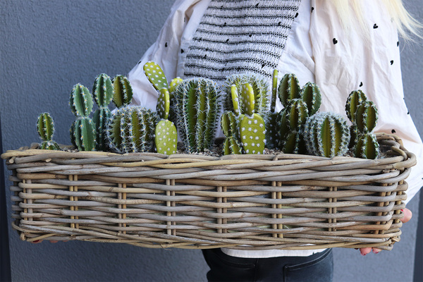 Cacti Rattan, kompozycja sukulenty w podłużnym koszu, wym.30x57cm