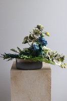 Desderia, kompozycja kwiatowa z pawiem