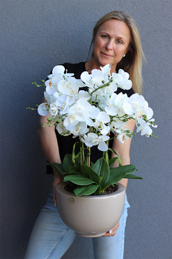 Dolandia Beige, sztuczny storczyk w misie, wys.68cm 