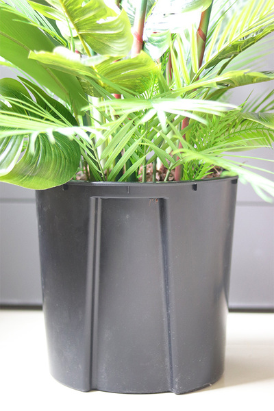 Strelicja Saute, sztuczna roślina do twojej donicy