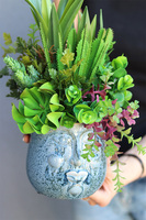 Kredina Twarzova 2, kompozycja Sukulenty w donicy z twarzą