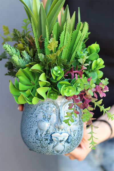 Kredina Twarzova 2, kompozycja Sukulenty w donicy z twarzą