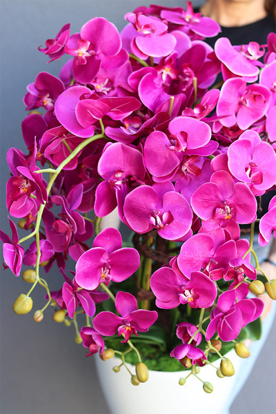 Mediolan Round Fuksja w białej donicy