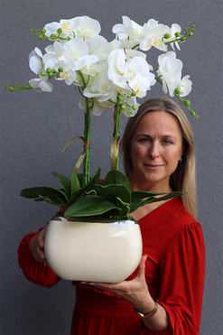 Teolina Glamour, gumowy storczyk w naczyniu, wys.67cm