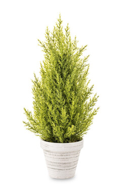 OD RĘKI, choinka sztuczna / ozdoba świąteczna, Cyprys 1, wys.40cm 