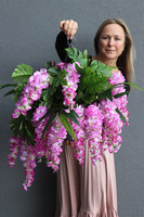 Selia Wisteria, kwiatowa kompozycja w wiszącej metalowej donicy