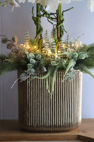 Śnieżna Kraina, elegancki storczyk zimowy LED