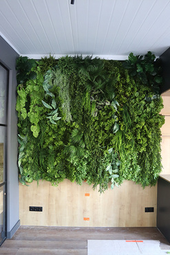 EcoGreen Wall B, zielona ściana z roślin sztucznych panel, 1m kwadratowy