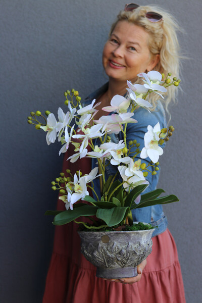 Eulalia, biały storczyk w fioletowej donicy