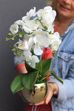 Gold Basics, storczyk w złotym naczyniu, wys.40cm