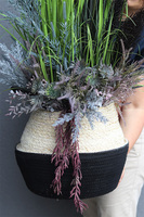 Simplata, sztuczna trawa w koszu z ziołami