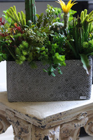 Green Neriata, sukulenty w prostokątnej donicy