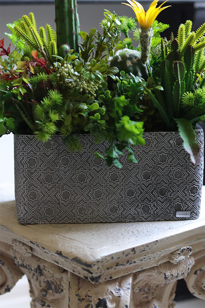 Green Neriata, sukulenty w prostokątnej donicy
