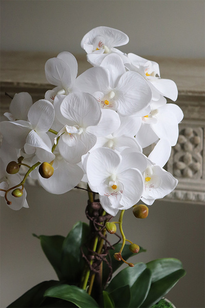 elegancki storczyk w białym pucharze glamour, White Glessy, wys.65cm