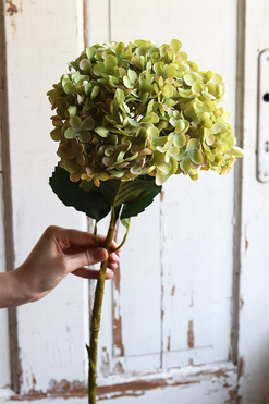 gałązka / sztuczna Hortensja Exclusive, zielony, dł.75cm,1szt 