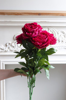 Love Me, bukiet peonii do wazonu, amarant