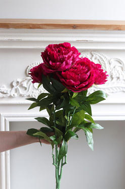 Love Me, bukiet peonii do wazonu, amarant, dł.65cm 