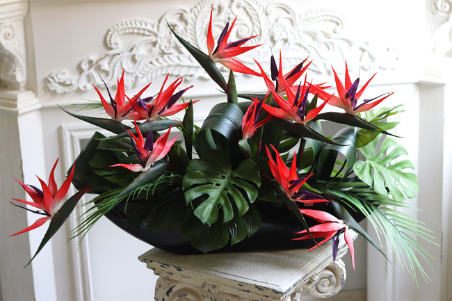 Strelicja Moderni Laos, egzotyczna kompozycja w czarnej donicy