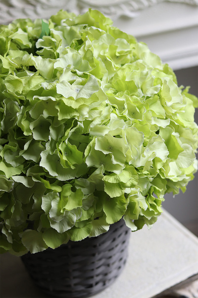 Pistacio, komplet dekoracji kwiatowych