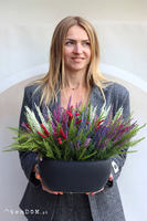 Wrzosy Modena, kompozycja kwiatowa w matowej donicy