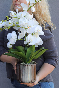 OD RĘKI Tenebris, sztuczny storczyk w ozdobnej donicy, wys.56cm