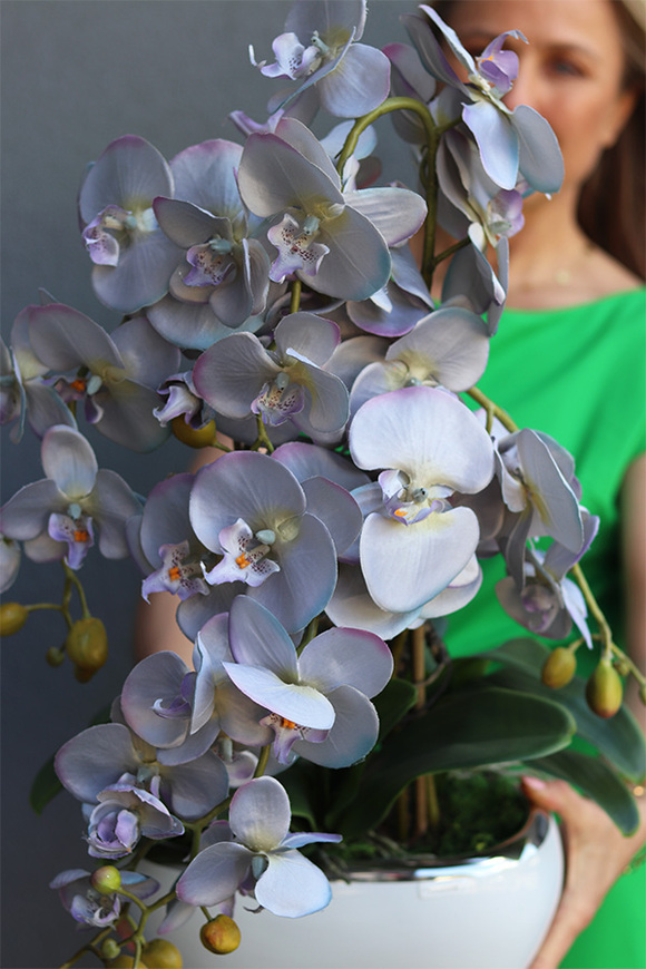 sinofioletowy storczyk w donicy glamour, Ophelia Gerra