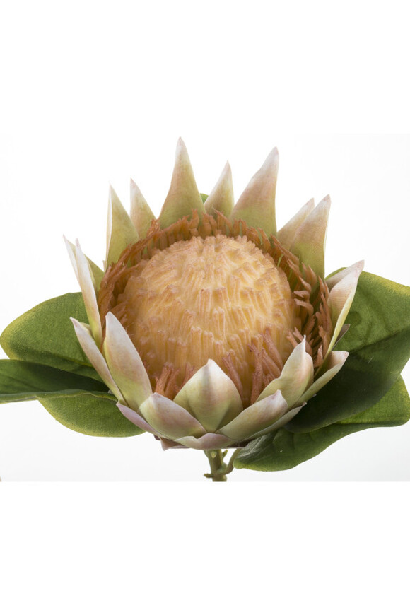 sztuczny kwiat na gałązce, Protea / Karczoch 1 szt., wys.68cm 