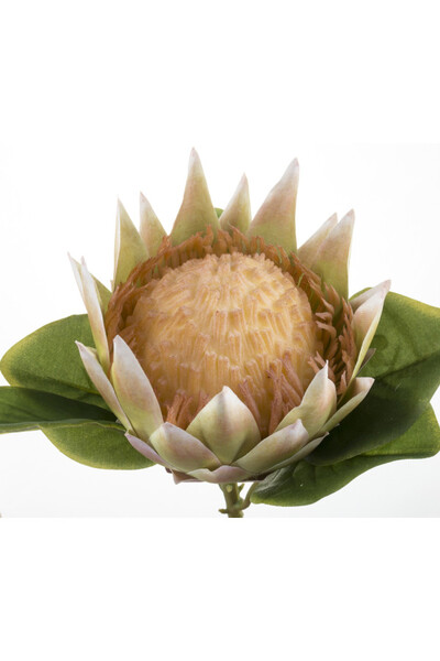 sztuczny kwiat na gałązce, Protea / Karczoch 1 szt., wys.68cm 