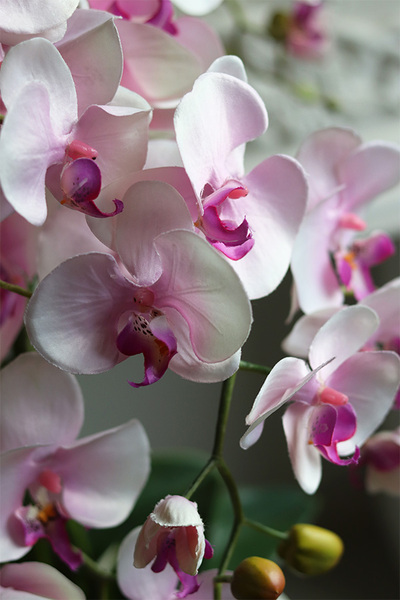Różowe Chwile, sztuczny storczyk w białej donicy