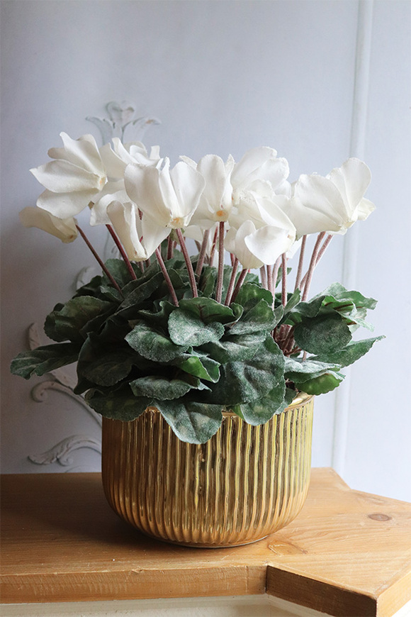 Szronione Cyklameny 2, elegancka zimowa kompozycja