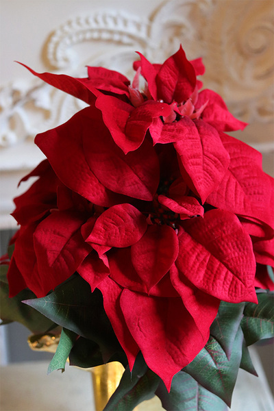 Gwiazda Betlejemska Deluxe Gold, wysokiej jakości sztuczna roślina