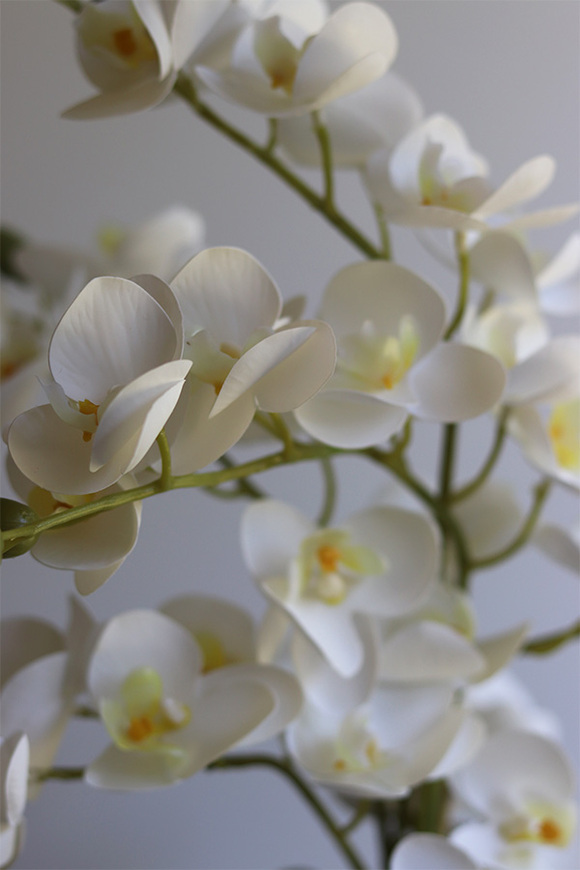 Mint&White, gumowy storczyk w pasiastej doniczce