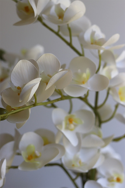 Mint&White, gumowy storczyk w pasiastej doniczce