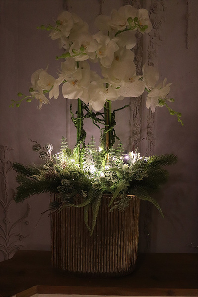 Śnieżna Kraina, elegancki storczyk zimowy LED