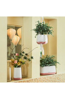 Yula, doniczka z nawadnianiem, koral