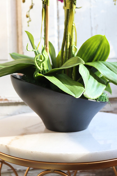 bogaty storczyk w ceramicznej misie, Fuksja Celeste, wys.55cm