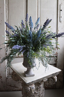 lawenda w cementowym pucharze Grigio, Szafirowe Wzgórza, wys.47cm