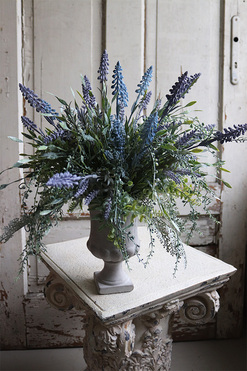 lawenda w cementowym pucharze Grigio, Szafirowe Wzgórza, wys.47cm