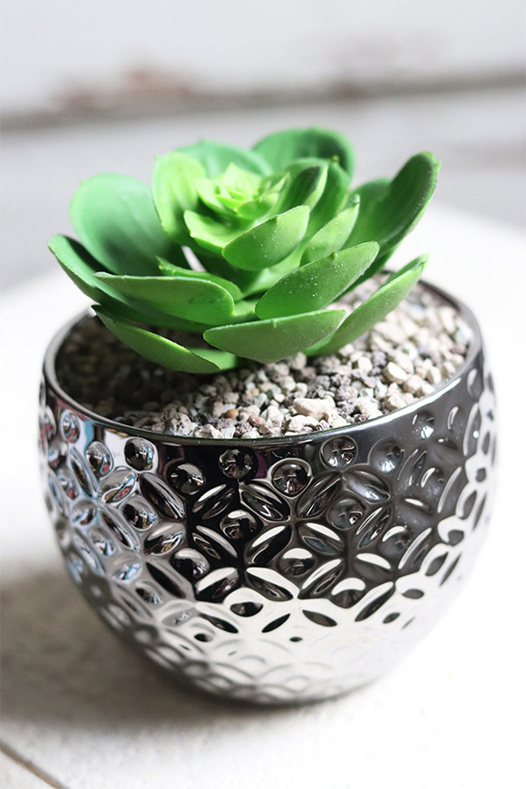 Gestree Silver, kompozycja sukulenty w srebrnej donicy, wys.15cm