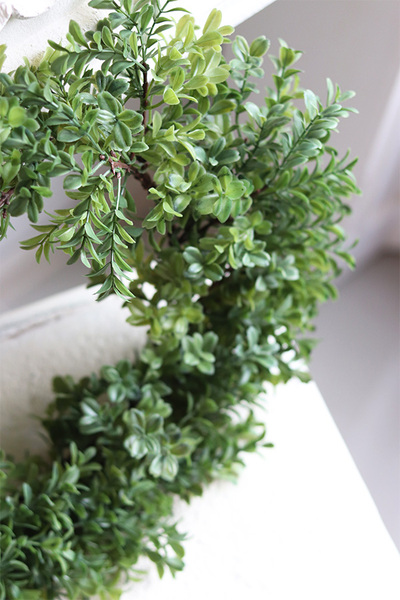 zielony wianek bukszpanowy Saute Boxwood